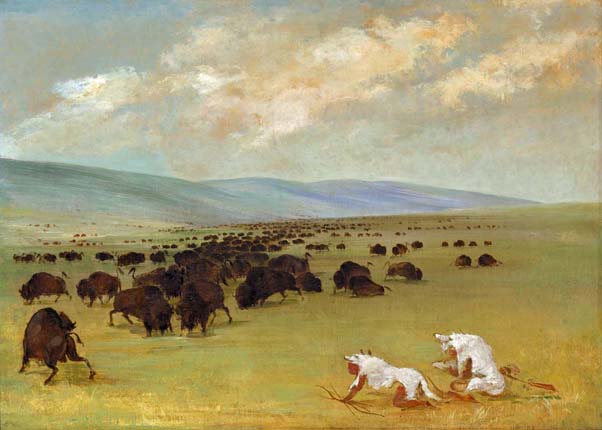 catlin guide indien approchant bisons